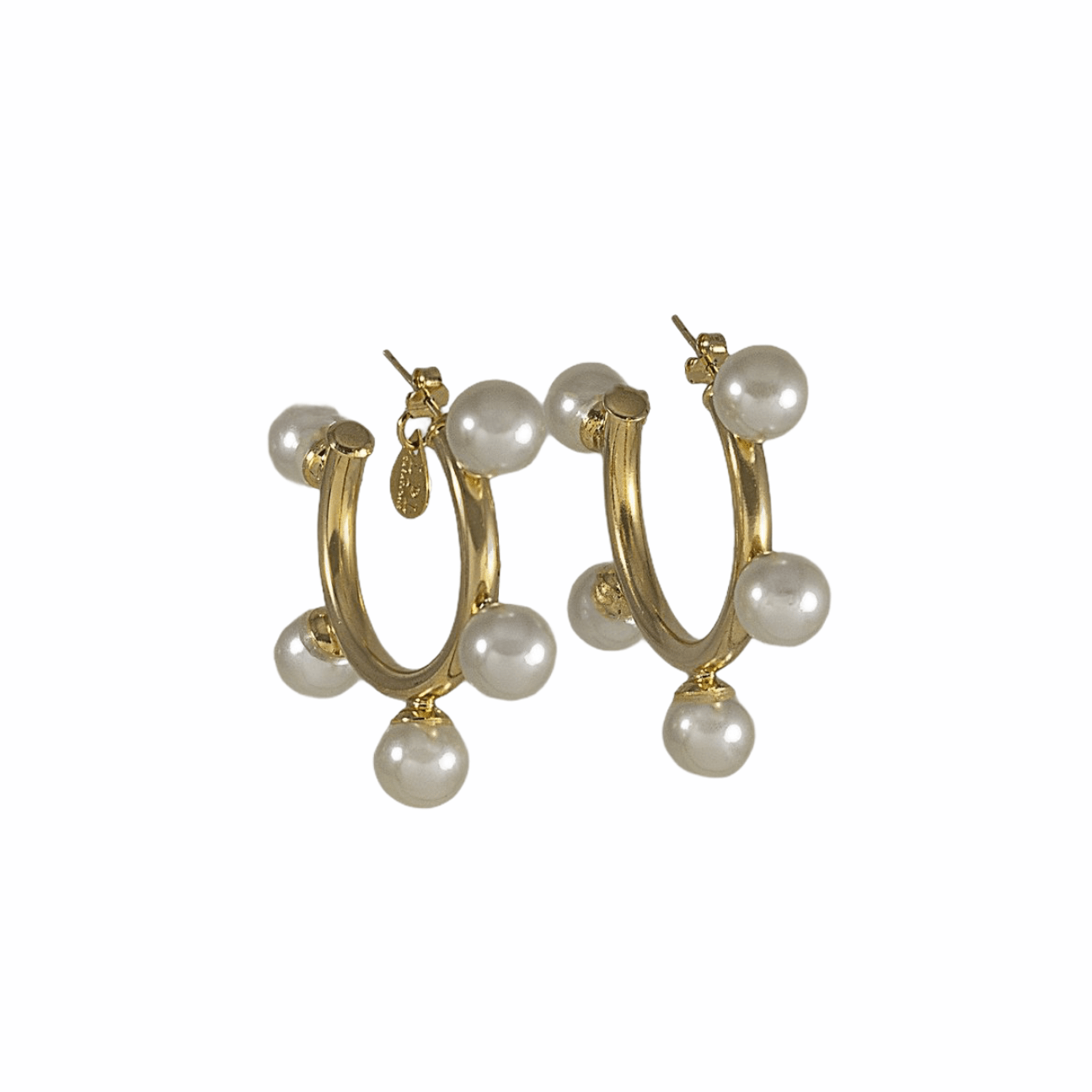 Diane Hoops Earrings - LPL Creations