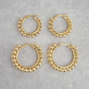 Liz Hoops Earrings