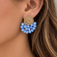 Crystal Fan Earrings - LPL Creations