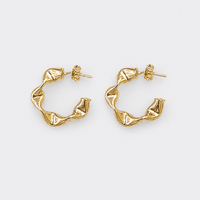 Cindi Hoop Earrings - LPL Creations